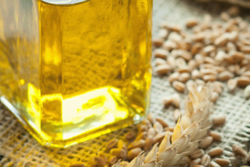 Фотография к новости: Завод по производству сафлорового масла запустят в Костанайской области