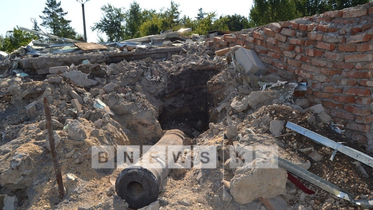  Светлана Боярская