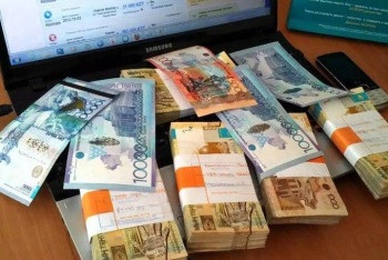 Фотография к новости: Бухгалтера Алматинского зоопарка подозревают в хищении более 30 миллионов тенге 