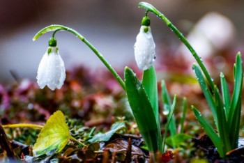 Фотография к новости: В Казахстане ожидаются дожди и усиление ветра