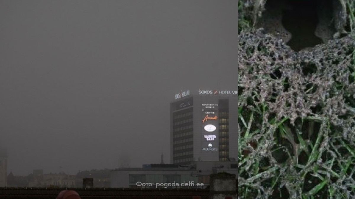  pogoda.delfi.ee