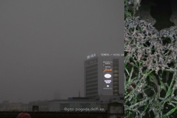 Фотография к новости: Черный дождь прошел в Эстонии