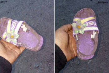 Фотография к новости: В Алматинской области нашли тело пропавшей двухлетней девочки