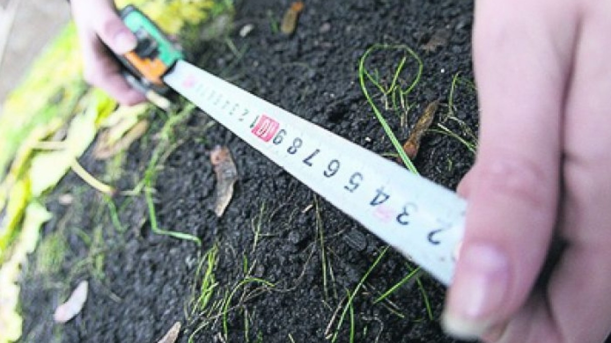  из свободных источников 