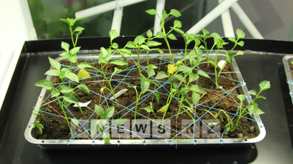  Фотоархив BNews.kz