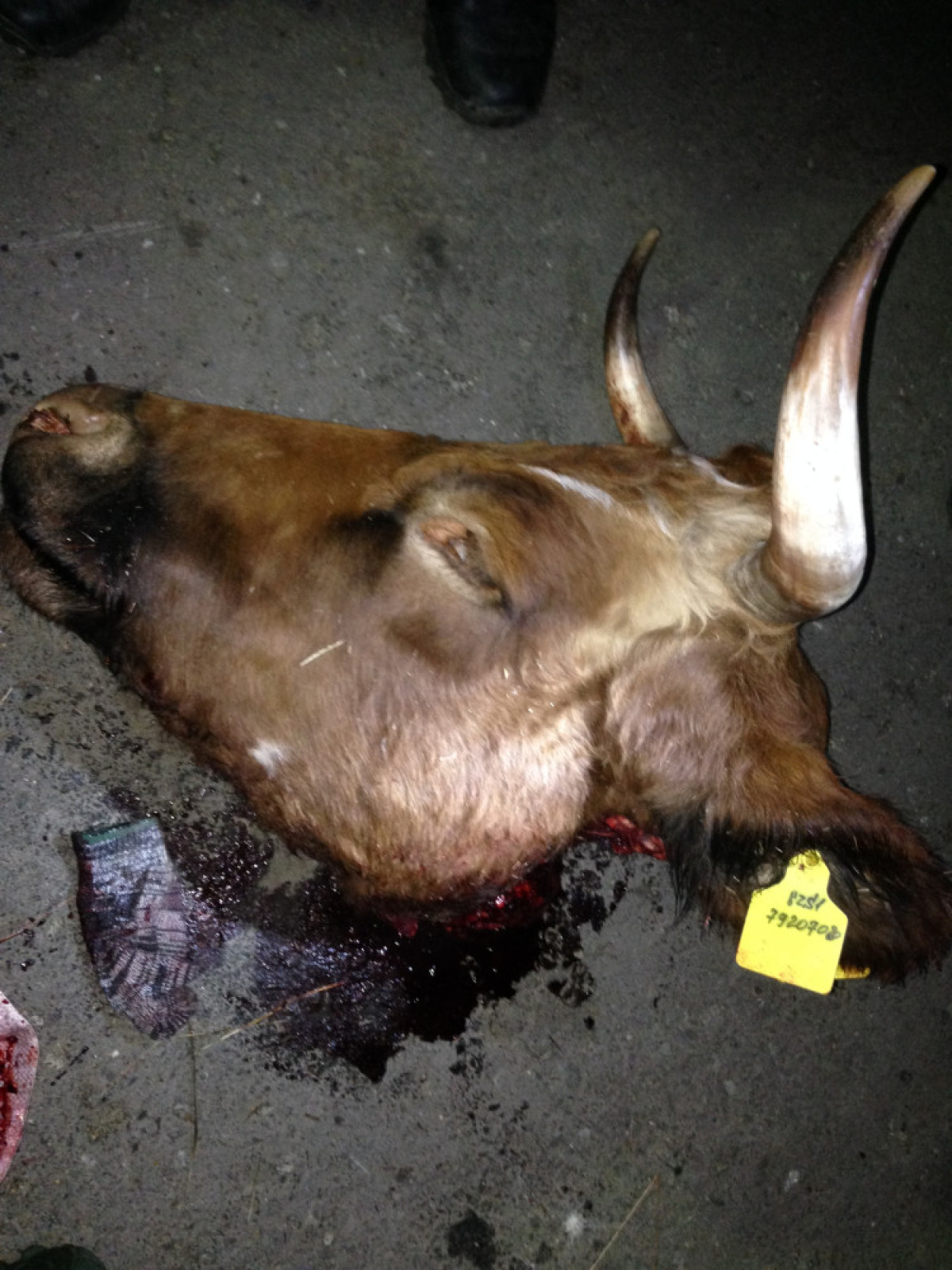  фото пресс-службы ДВД