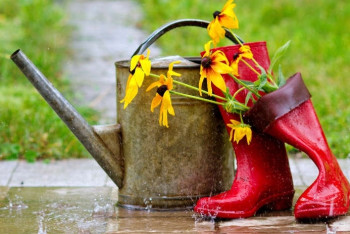 Фотография к новости: Казахстанцев ожидают дожди и грозы