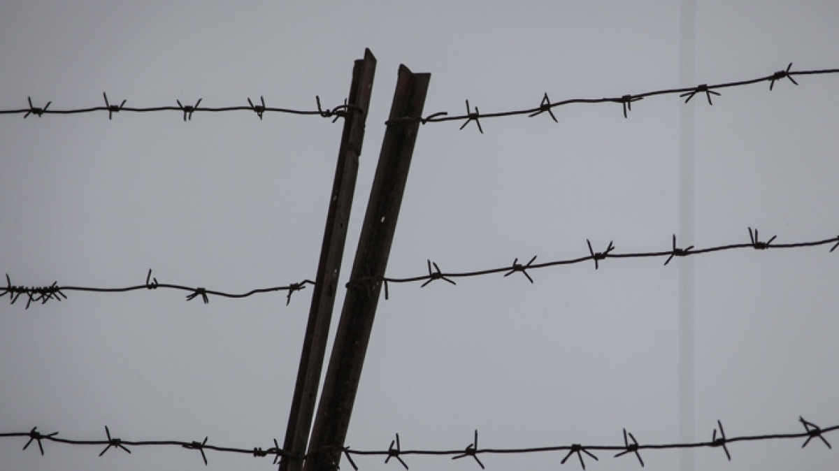  из свободных источников 