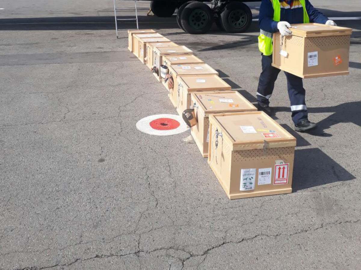  пресс-служба Погранслужбы КНБ РК