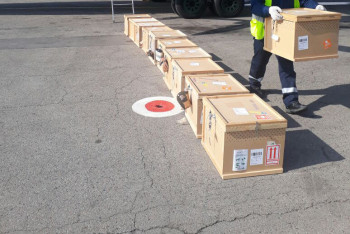 Фотография к новости: Три десятка особей сокола-балобана пытались вывезти из Алматы в Доху