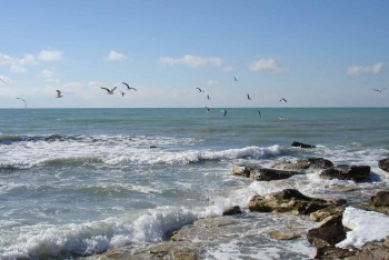 Фотография к новости: В столице Азербайджана открылось заседание специальной группы по правовому статусу Каспия