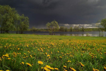 Фотография к новости: Синоптики рассказали о погоде в Казахстане 17 мая