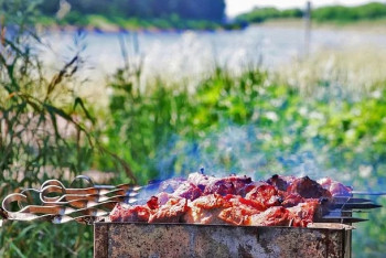 Фотография к новости: В каких случаях летние пикники на природе могут обернуться штрафом