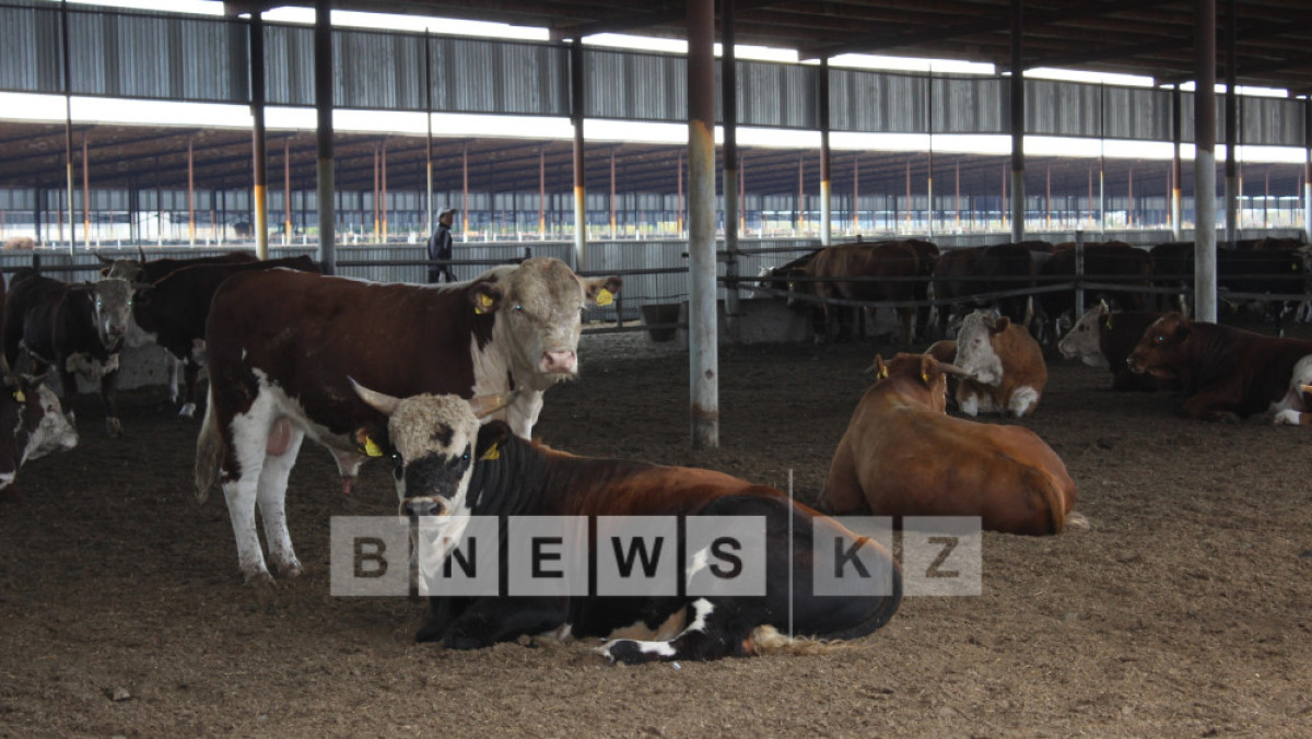  Сергей Романов