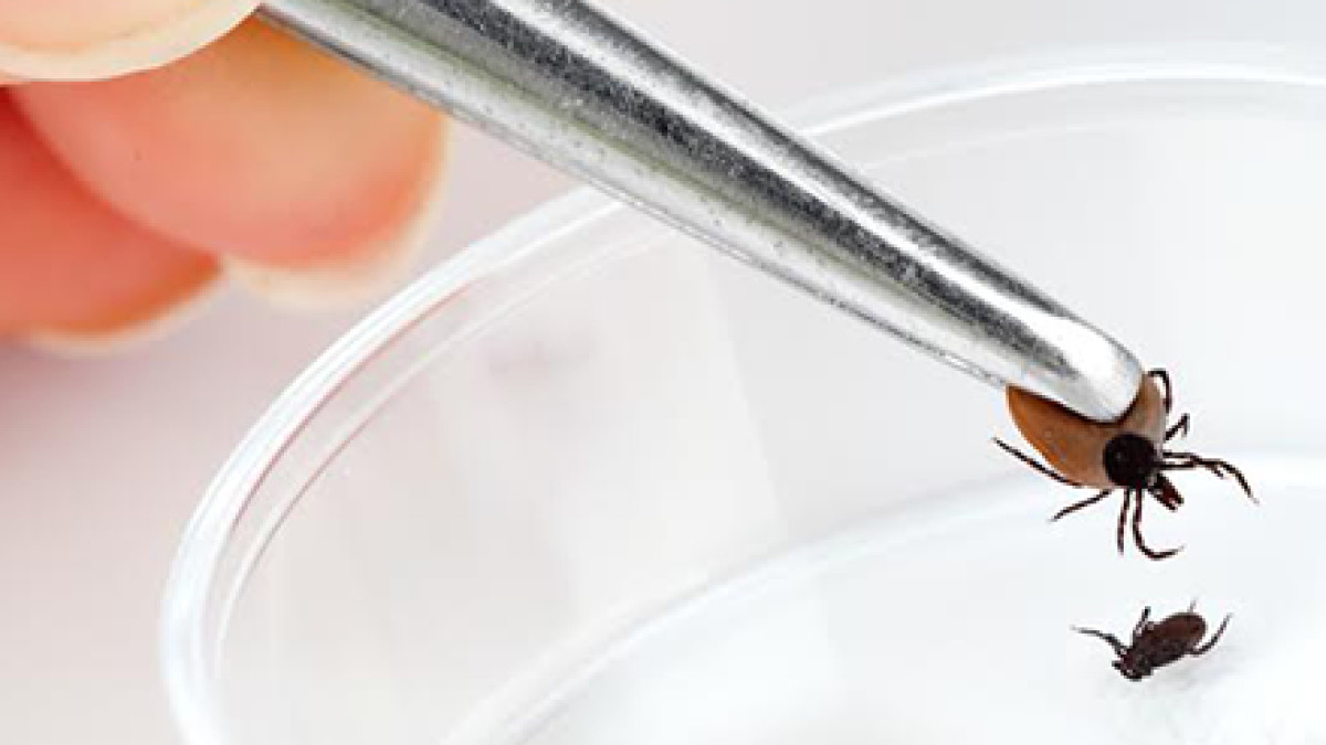  из свободных источников 