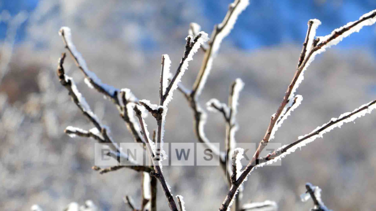  Фотоархив BNews.kz