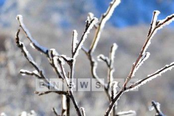 Фотография к новости: В Алматы выпал первый снег