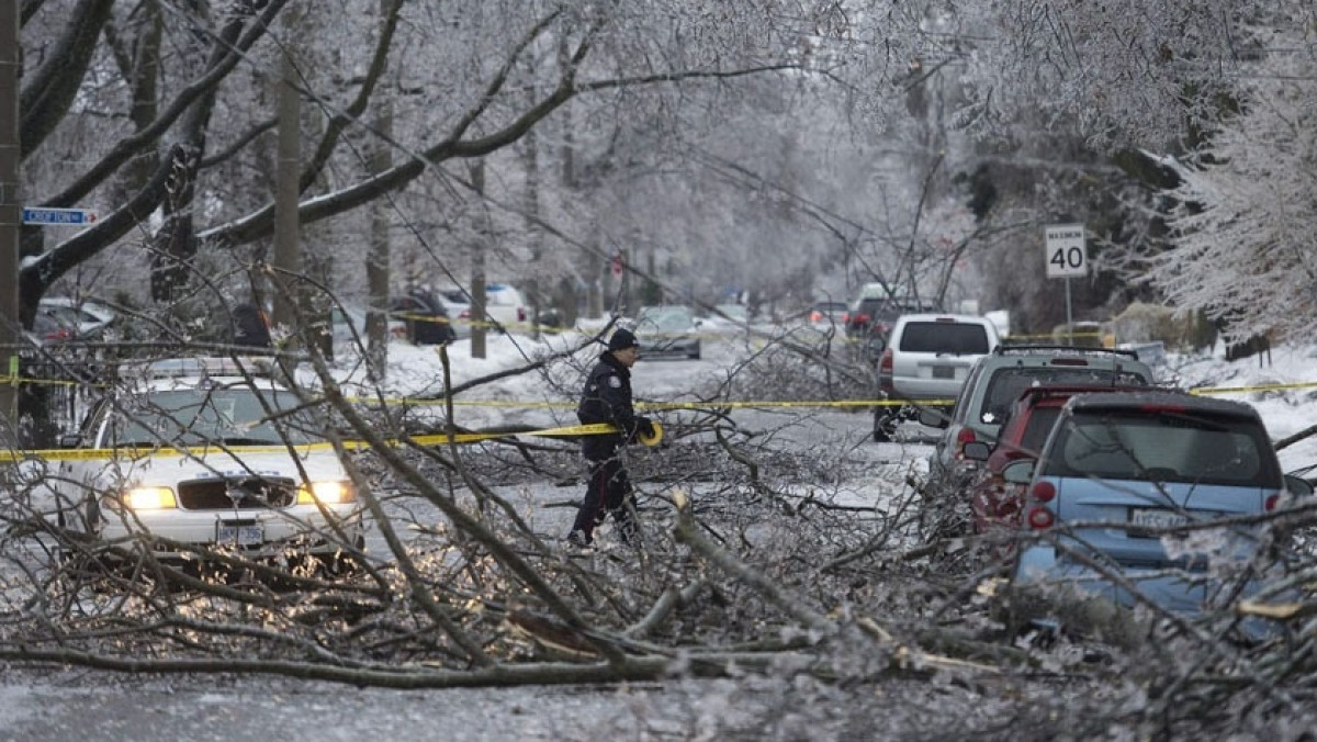  tomiliny.blogspot.com