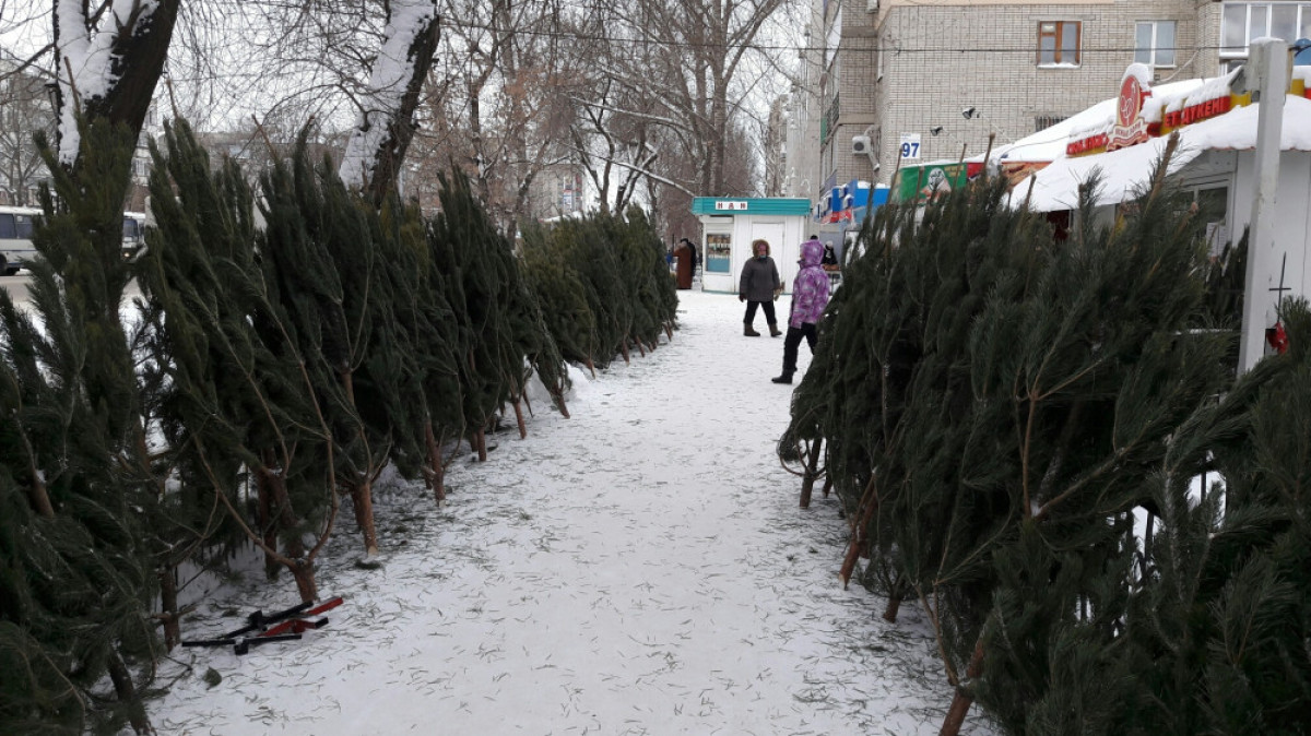  Сергей Романов