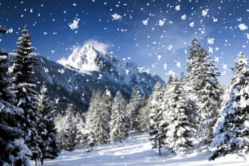 Фотография к новости: В большинстве областей Казахстана ожидаются снегопады