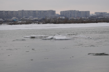Фотография к новости: Канализационные стоки Семея могут хлынуть в Иртыш (ФОТО)