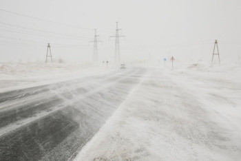 Фотография к новости: В Жамбылской области 80 автобусов с пассажирами оказались в снежном плену