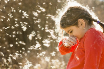 Фотография к новости: Как защититься от аллергии на тополиный пух 