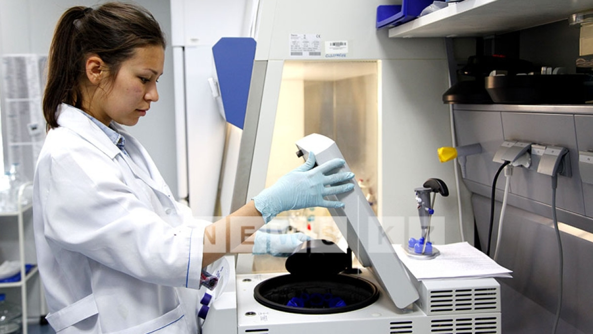  Фотоархив BNews.kz