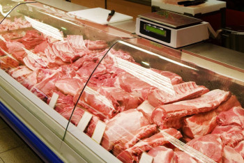 Фотография к новости: Азербайджан будет экспортировать конину в Казахстан