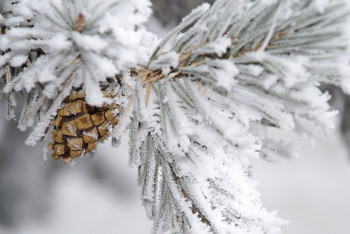 Фотография к новости: В Казахстане ожидается ветреная погода с осадками
