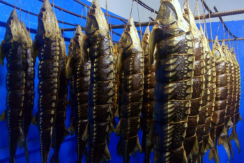 Фотография к новости:  В Атырау гвардейцы задержали машину с деликатесами