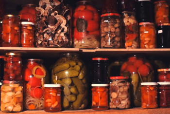 Фотография к новости: В новогоднюю ночь в Костанайской области произошли курьезные кражи