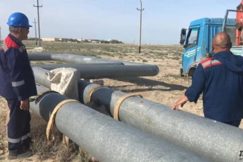 Фотография к новости: Верблюжонка спасли в Мангистау 