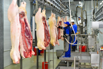 Фотография к новости: Роботизированный комбикормовый завод  запустили в СКО