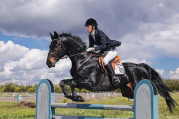 Фотография к новости: Казахстан завовал две золотые медали на этапе Кубка мира по конкуру 