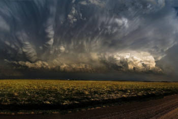 Фотография к новости: В трех регионах Казахстана объявили штормовое предупреждение