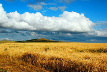 Фотография к новости: Каким будет июнь в Казахстане, рассказали синоптики