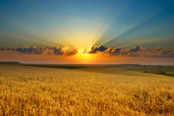 Фотография к новости: Синоптики рассказали о погоде в Казахстане 4 июня