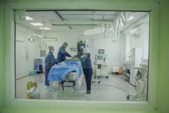 Фотография к новости: Столичные врачи рассказали об уникальном проекте, повлиявшем на выздоровление детей