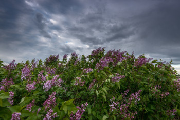 Фотография к новости: Неустойчивая погода сохранится до конца недели в Казахстане