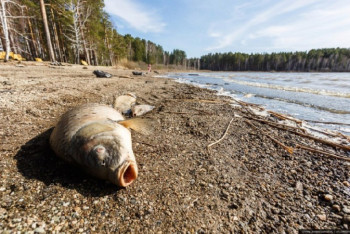 Фотография к новости: За халатность будут судить руководителя "Атырау Су Арнасы"