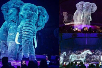 Фотография к новости: Голограммы вместо животных выступают в цирке в Германии