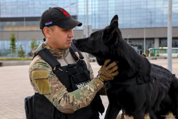 Фотография к новости: Собачье сердце на службе Республике Казахстан: как работают кинологи страны и их подопечные