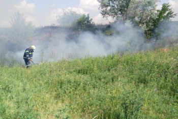 Фотография к новости: Прогноз погоды в Казахстане на 12 июня