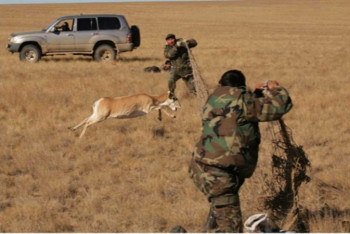 Фотография к новости: В Казахстане предлагают ужесточить ответственность за браконьерство