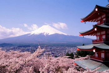 Фотография к новости: Токаева поздравили парламентарий из Чехии, дипломат и бизнесмен из Японии 