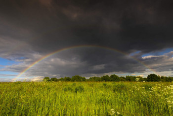 Фотография к новости: Погода на 14 июня: местами возможен град