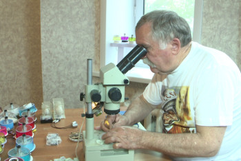 Фотография к новости: Шедевры под микроскопом создает умелец из Балхаша