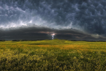 Фотография к новости: Синоптики рассказали о погоде в Казахстане 19 июня