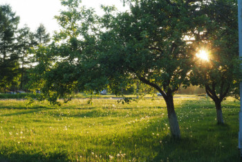 Фотография к новости: На большей части Казахстана 20 июня ожидается погода без осадков